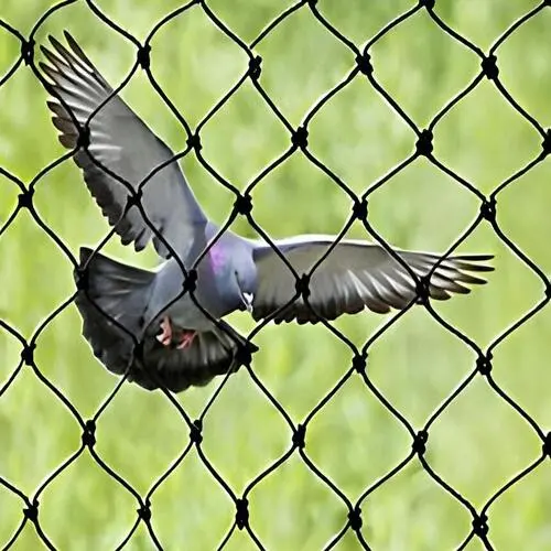 Noble Netting Offers Best Premium Quality Pigeon Nets for Balconies in Chennai, Throughout Tamil Nadu