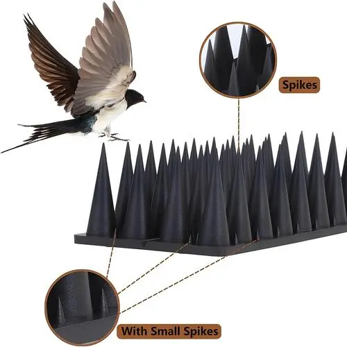 Noble Netting Offers Premium Quality Anti Bird Spikes in Chennai, Throughout Tamil Nadu